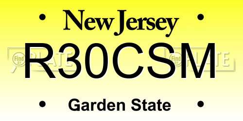 R30CSM New Jersey License Plate