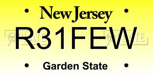 R31FEW New Jersey License Plate