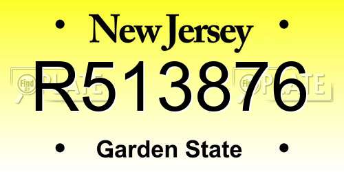 R513876 New Jersey License Plate