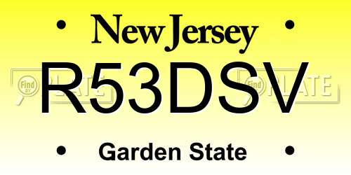 R53DSV New Jersey License Plate