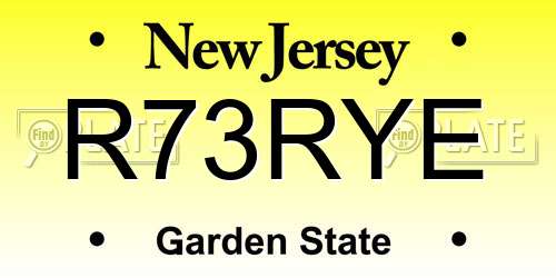 R73RYE New Jersey License Plate