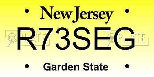 R73SEG New Jersey License Plate