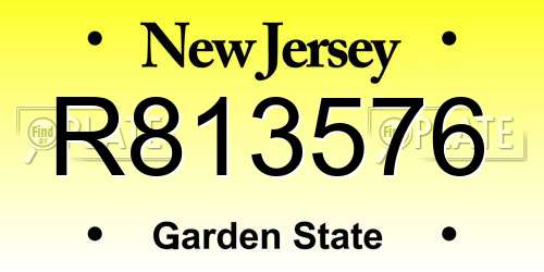 R813576 New Jersey License Plate
