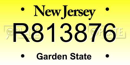 R813876 New Jersey License Plate