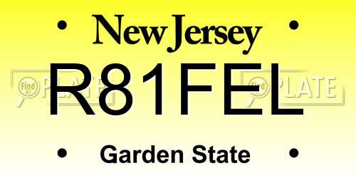 R81FEL New Jersey License Plate