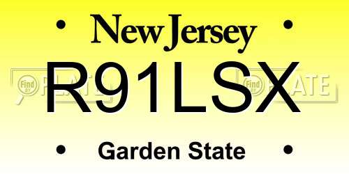 R91LSX New Jersey License Plate