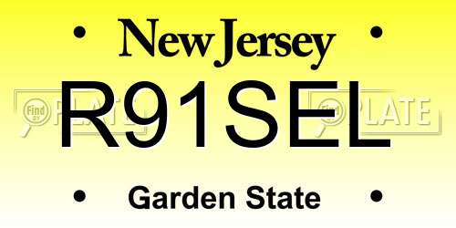 R91SEL New Jersey License Plate