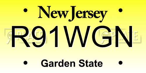R91WGN New Jersey License Plate
