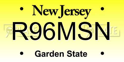 R96MSN New Jersey License Plate