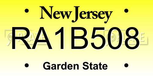 RA1B508 New Jersey License Plate