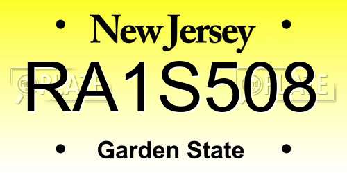 RA1S508 New Jersey License Plate
