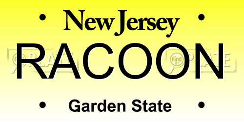 RACOON New Jersey License Plate