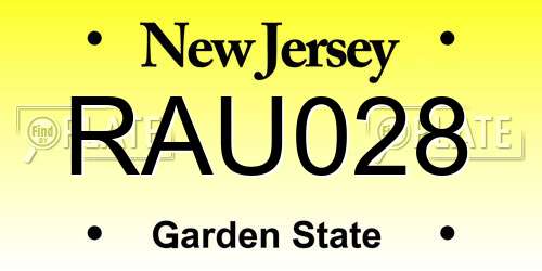 RAU028 New Jersey License Plate