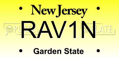 RAV1N New Jersey License Plate