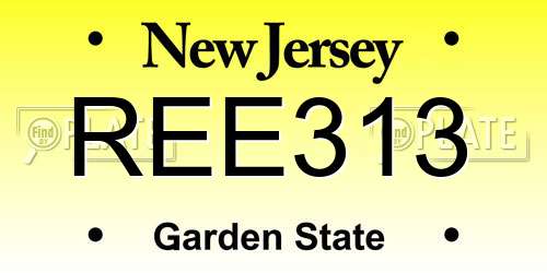 REE313 New Jersey License Plate