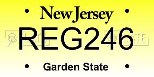 REG246 New Jersey License Plate