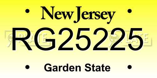 RG25225 New Jersey License Plate