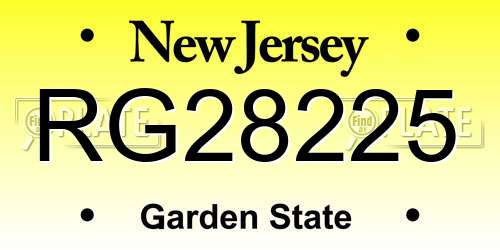 RG28225 New Jersey License Plate