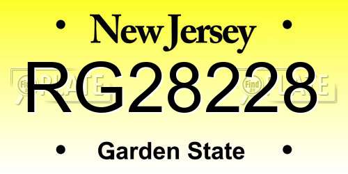 RG28228 New Jersey License Plate