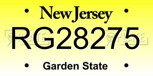 RG28275 New Jersey License Plate