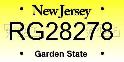 RG28278 New Jersey License Plate
