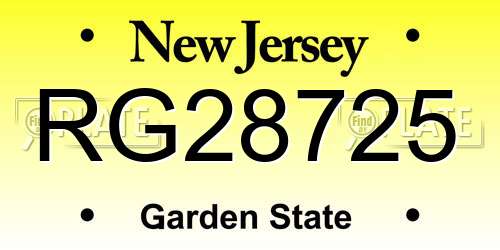 RG28725 New Jersey License Plate