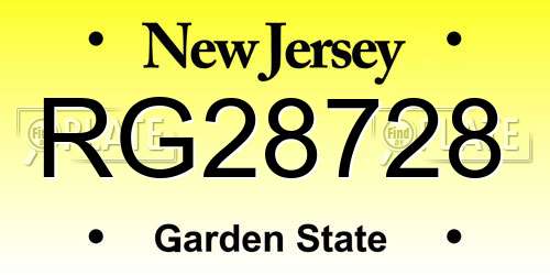 RG28728 New Jersey License Plate