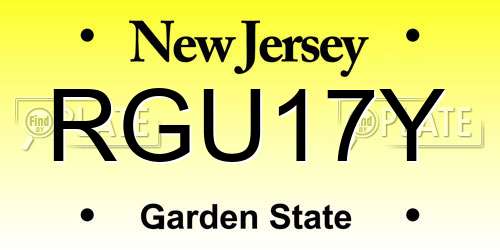 RGU17Y New Jersey License Plate