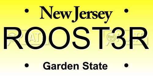 ROOST3R New Jersey License Plate