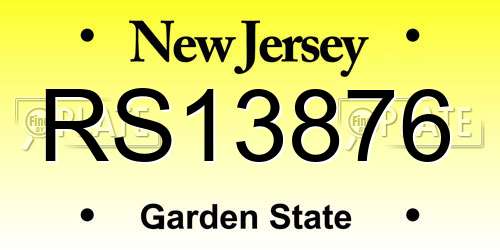 RS13876 New Jersey License Plate