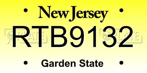 RTB9132 New Jersey License Plate