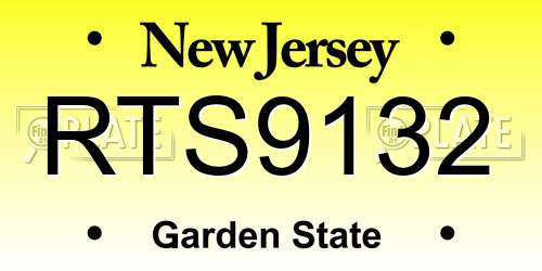 RTS9132 New Jersey License Plate