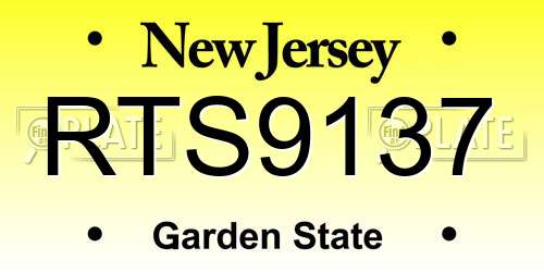 RTS9137 New Jersey License Plate