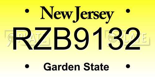 RZB9132 New Jersey License Plate