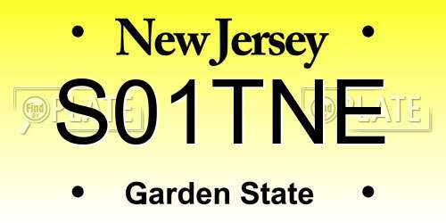 S01TNE New Jersey License Plate