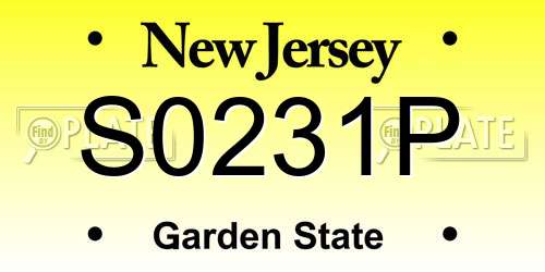 S0231P New Jersey License Plate