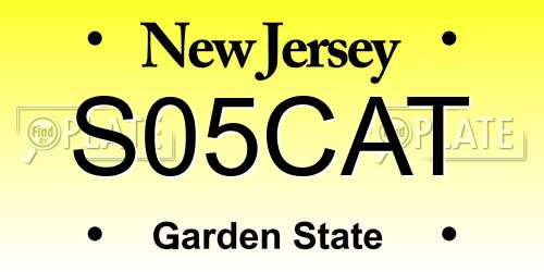 S05CAT New Jersey License Plate
