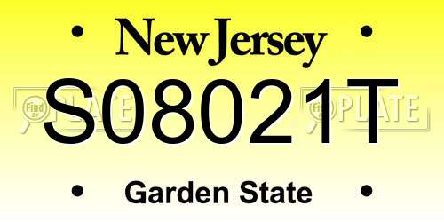 S08021T New Jersey License Plate