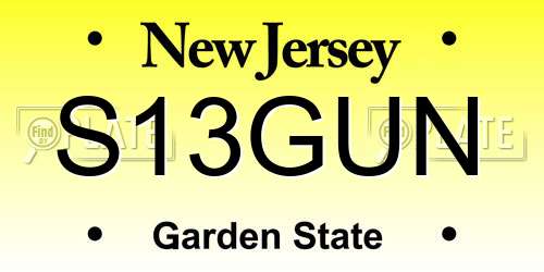S13GUN New Jersey License Plate