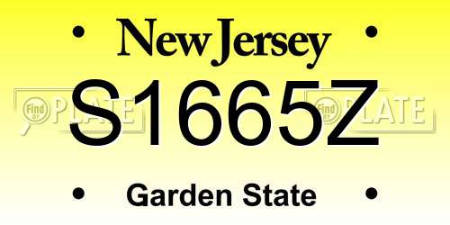 S1665Z New Jersey License Plate