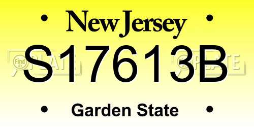 S17613B New Jersey License Plate