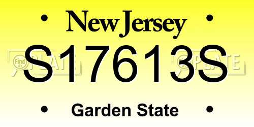S17613S New Jersey License Plate