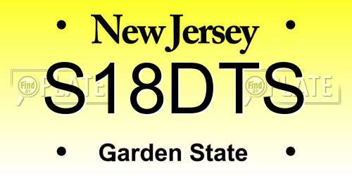 S18DTS New Jersey License Plate