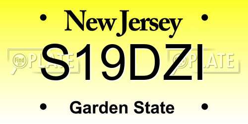 S19DZI New Jersey License Plate