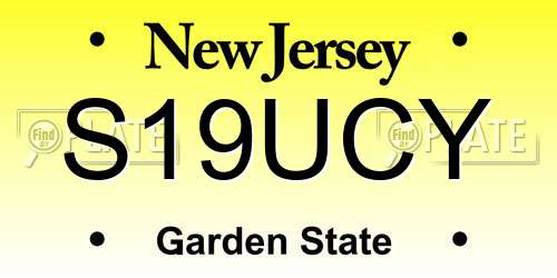 S19UCY New Jersey License Plate