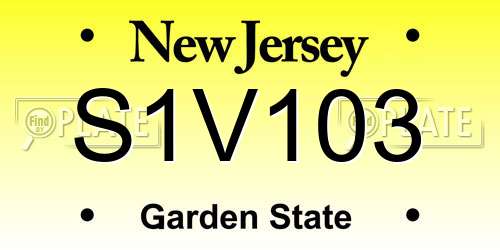 S1V103 New Jersey License Plate