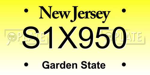 S1X950 New Jersey License Plate