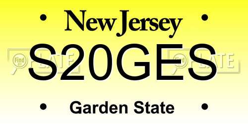 S20GES New Jersey License Plate