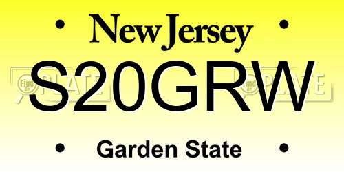 S20GRW New Jersey License Plate