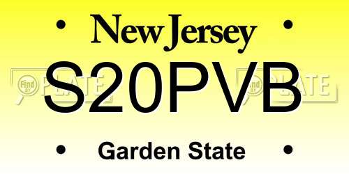 S20PVB New Jersey License Plate